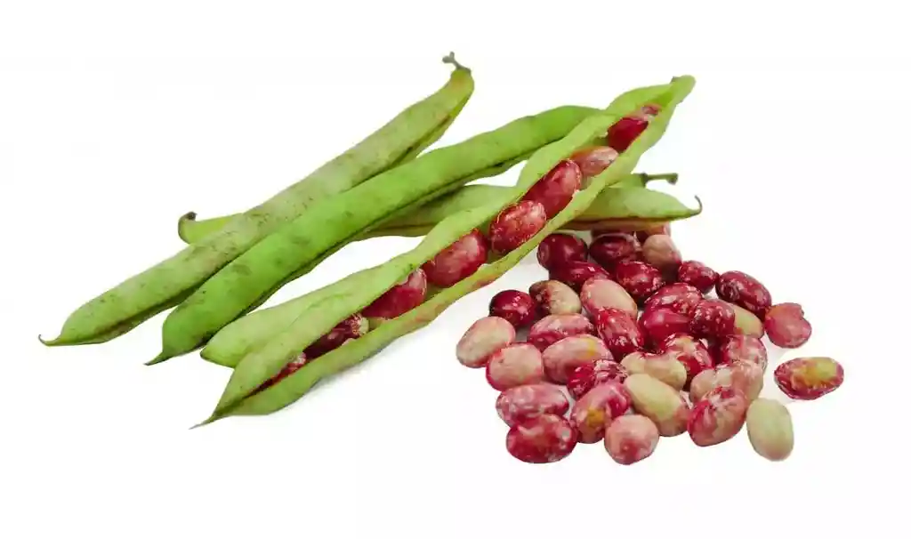Frijol Verde Cascara